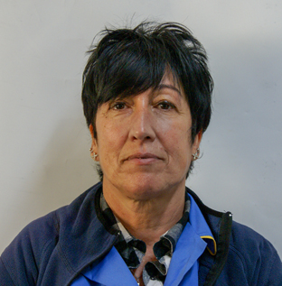 Cristina Ribeiro